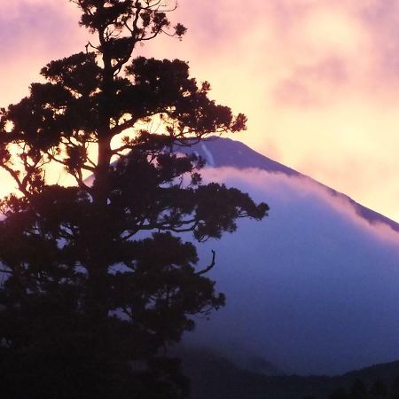 華の宿　ふくや 箱根町 エクステリア 写真