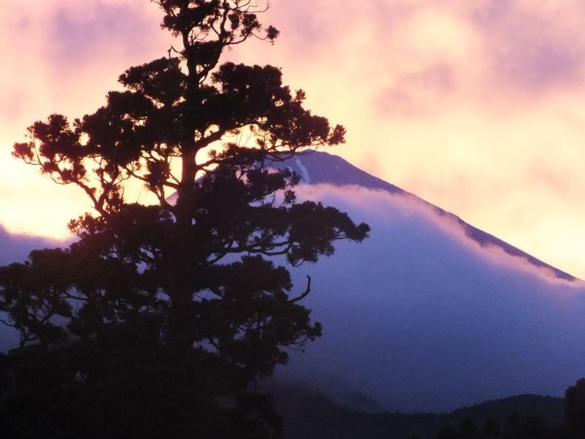 華の宿　ふくや 箱根町 エクステリア 写真